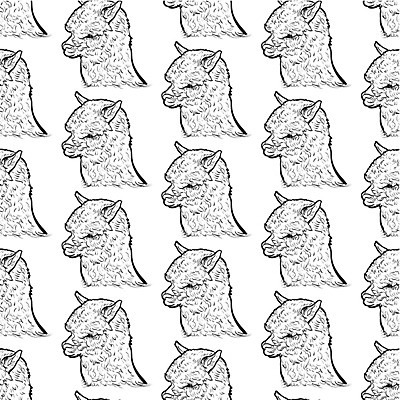 EPS 해외이미지 동물 응시 백그라운드 패턴 일러스트 포유류 자연 털 농장 머리 가축 흰색 스케치 양모 고립 라마 알파카 페루 해외202004 해외일러스트 시선 컬러 무늬 농업 미술 신체부위 직물 남아메리카 생태계 파일형식 벡터 이미지허브