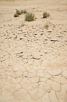 포토 JPG 해외이미지 식물 유럽 모래 자연 하늘 산 건조 풍경 사람없음 야외 여름 사막 바위 시골 뜨거움 스페인 균열 갈증 땅 언덕 진흙 가뭄 생태학 지질학 혼자 해외202004 해외포토 계절 교육 나라 모션 날씨 돌_바위 생태계 파일형식 이미지허브