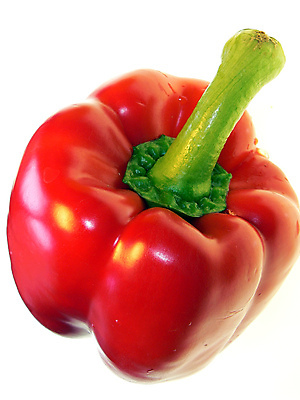 포토 JPG 해외이미지 음식 채소 과일 고추 사람없음 빨간색 주방 뜨거움 칼 맛 매움 후추 연소 할라피뇨 화상 해외202004 해외포토 컬러 컨셉 상처 향신료 파일형식 이미지허브