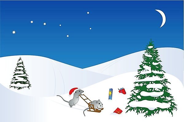 EPS 해외이미지 나무 별 길 백그라운드 크리스마스 2 겨울 일러스트 곰 하늘 휴가 새해 선물 미술 목재 가로 빨간색 초록색 노란색 별자리 달 나뭇가지 축하 신용카드 야간 쥐 큼 언덕 활 썰매 짐싸기 자취 제설기 해외202004 해외일러스트 자연요소 식물 동물 계절 기념일 컬러 컨셉 재료 포유류 문화예술 금융 설치류 크기 제설 파일형식 벡터 이미지허브