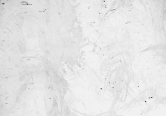 EPS 해외이미지 종이 벽 백그라운드 패턴 일러스트 건축양식 벽지 표면 날씨 추상 바닥 야외 내부 건물 우주 페인트 공백 방 회색 수확 바위 흰색 도시 얼룩 거친 부식 질감 복고 시멘트 고체 구식 그런지 석고 옛날 콘크리트 해외202004 해외일러스트 건축물 건축 컬러 무늬 농업 돌_바위 파일형식 벡터 이미지허브