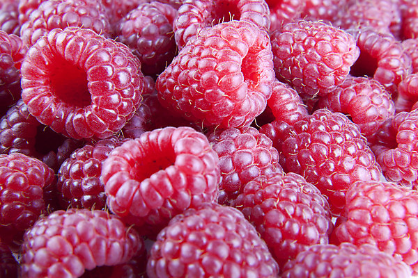 포토 JPG 해외이미지 열매 패턴 과일 자연 디저트 건강 사람없음 가로 빨간색 신선 달콤 큼 질감 산딸기 숙성 해외202004 해외포토 식물 음식 컬러 무늬 맛 크기 생태계 파일형식 이미지허브