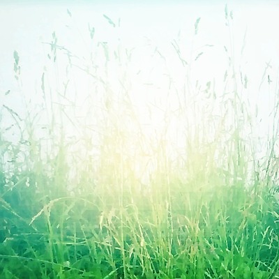 EPS 해외이미지 식물 계절 공원 포스터 백그라운드 컨셉 잎 패턴 밭 일러스트 자연 하늘 부활절 미술 풍경 잔디 아웃포커스 초록색 여름 빛 컬러풀 태양 정원 맑음 웹 봄 활발 성장 광선 신선 허브 원예 보케 부드러움 내추럴 블러 해외202004 해외일러스트 자연요소 공공시설 기념일 컬러 무늬 농업 인터넷 날씨 문화예술 촬영기법 취미 감각 생태계 파일형식 벡터 이미지허브