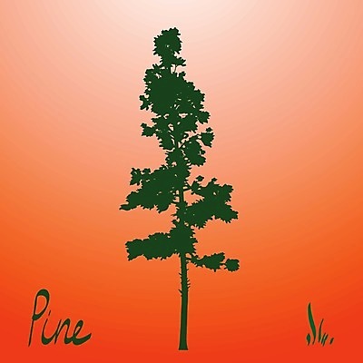 EPS 해외이미지 모양 나무 디자인 실루엣 섬 백그라운드 캐나다 일러스트 자연 영국 산 목재 검은색 성장 나뭇가지 소나무 그룹 콜롬비아 숲 큼 그늘 열대우림 수집 윤곽 태평양 침엽수 전나무 고립 벌거벗은 벤쿠버 삼나무 서쪽 엘리먼트 옛날 워싱턴 혼자 가문비나무 해외202004 해외일러스트 식물 유럽 바다 컬러 북아메리카 재료 촬영기법 미국 남아메리카 크기 방향 생태계 파일형식 벡터 이미지허브