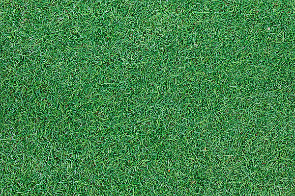 포토 JPG 해외이미지 식물 공원 백그라운드 밭 자연 벽지 잔디 사람없음 야외 가로 초록색 환경 테니스 칼날 정상 놀이터 플라스틱 유기농 질감 날것 조경 일반 거짓 뒤뜰 생태학 인공 해외202004 해외포토 웰빙 공공시설 교육 컬러 농업 재질 놀이 구기 생태계 파일형식 이미지허브