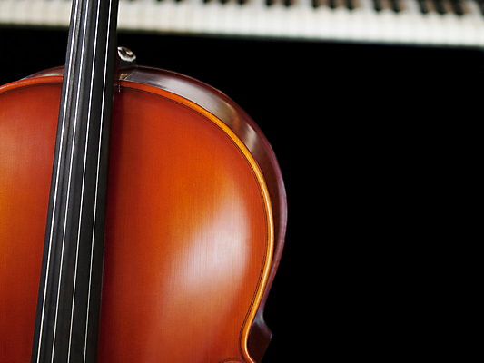 포토 JPG 해외이미지 줄 음악 노래 놀이 열쇠 사람없음 목재 빛 검은색 화목 소리 콘서트 흰색 기구 키보드 피아노 클래식 바이올린 오브젝트 오디오 첼로 재즈 교향곡 리듬 멜로디 뮤지컬 해외202004 해외포토 나무 컬러 컨셉 재료 현악기 문화예술 전자제품 공연 건반악기 파일형식 찰현악기 이미지허브