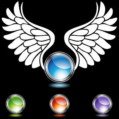 EPS 해외이미지 클립아트 디자인 종교 백그라운드 오렌지 일러스트 버튼 천사 미술 그래픽 장식 빨간색 초록색 파란색 세트 금속 보라색 검은색 흰색 깃털 엘리먼트 해외202004 해외일러스트 컬러 과일 재질 문화예술 파일형식 벡터 이미지허브