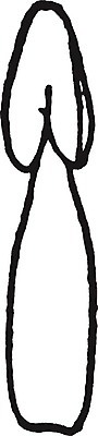 EPS 해외이미지 식물 별 선 일러스트 미술 검은색 수확 흰색 그림 판화 꽃수술 베들레헴 해외202004 해외일러스트 자연요소 컬러 농업 문화예술 파일형식 벡터 산업 이미지허브