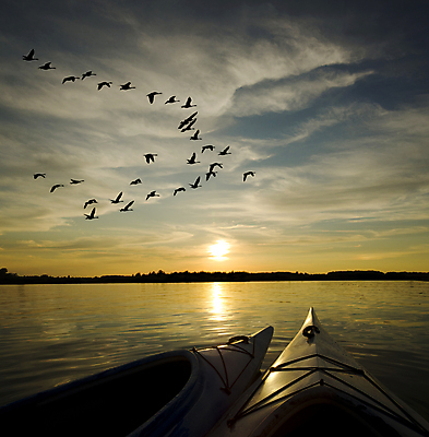 포토 JPG 해외이미지 구름 계절 호수 자연 풍경 사람없음 야외 물 일몰 보트 카누 카약 거위 해외202004 해외포토 자연요소 배_교통 조류 노을 수상스포츠 생태계 파일형식 이미지허브