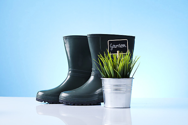 포토 JPG 해외이미지 식물 꽃 화분 장갑 잎 농업 자연 사람없음 노란색 흙 봄 장비 공구 모종삽 삽 허브 물주기 원예 수선화 로즈메리 돌봄 세이지 많음 해외202004 해외포토 잡화 계절 산업 컬러 컨셉 모션 취미 도구 생태계 파일형식 이미지허브