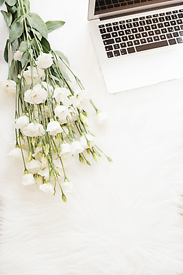 포토 JPG 해외이미지 라이프스타일 응시 여자 꽃 분홍색 꽃다발 백그라운드 컨셉 비즈니스 장신구 통신 모바일 휴식 새로움 바닥 주택 아이디어 직장 털 건강 앉기 사람없음 세로 노트북 컴퓨터 사무실 유행 방 흰색 업무 작업 황금 고급 정상 주식 연습 리빙 블로거 프리랜서 방식 해외202004 해외포토 식물 직업 시선 컬러 회사 모션 사람 건물 생활 금융 전자제품 파일형식 이미지허브