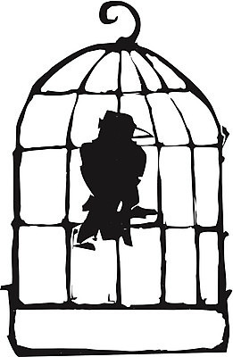 EPS 해외이미지 동물 일러스트 조류 동물원 안전 반려동물 새장 까마귀 해외202004 해외일러스트 케이지 파일형식 벡터 이미지허브