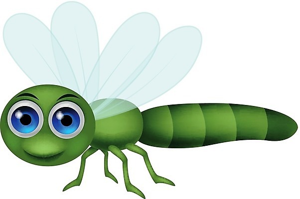 EPS 해외이미지 캐릭터 1 디자인 곤충 신체 날개 일러스트 자연 그래픽 장식 초록색 여름 정원 봄 흰색 우아함 벌레 잠자리 흉부 만화 수집 생물학 정맥 내추럴 고립 마스코트 터키석 해외202004 해외일러스트 일러캐릭터 동물 계절 교육 컬러 컨셉 호흡기관 보석 생태계 혈관 파일형식 벡터 이미지허브