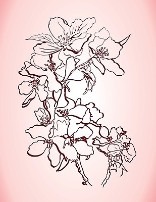 EPS 해외이미지 나무 식물 손 디자인 꽃 분홍색 꽃다발 백그라운드 잎 꽃무늬 패턴 일러스트 자연 잉크 미술 그래픽 장식 세로 연필 장미 갈색 정원 봄 수확 벚꽃 나뭇가지 그리기 사과 스케치 그림 복고 옛날 해외202004 해외일러스트 계절 컬러 무늬 농업 과일 모션 문화예술 학용품 신체부위 필기구 생태계 파일형식 벡터 이미지허브