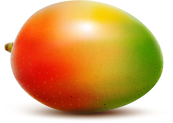 EPS 해외이미지 식물 계절 열매 음식 줄기 백그라운드 잎 2 다이어트 과일 일러스트 부분 자연 디저트 귤 건강 빨간색 초록색 여름 빛 노란색 흰색 신선 체리 달콤 맛 자르기 오브젝트 싱글 상쾌 유기농 날것 망고 내추럴 고립 숙성 채식주의자 해외202004 해외일러스트 웰빙 감정 컬러 컨셉 모션 열대과일 생태계 채식 파일형식 벡터 이미지허브