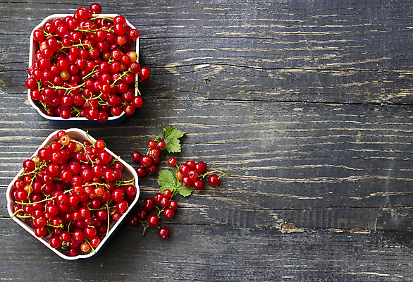 포토 JPG 해외이미지 열매 음식 백그라운드 다이어트 과일 재료 자연 탁자 디저트 건강 사람없음 목재 빨간색 여름 컬러풀 식사 시골 신선 체리 사발 달콤 유기농 블루베리 산딸기 내추럴 건포도 스무디 디톡스 비건 해외202004 해외포토 나무 식물 웰빙 계절 음료 컬러 가구 포도 사기그릇 맛 생태계 건과일 채식주의자 파일형식 이미지허브