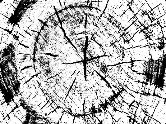 EPS 해외이미지 나무 디자인 외관 벽 가구 백그라운드 패턴 일러스트 자연 벽지 탁자 표면 추상 바닥 목재 장식 어둠 수확 소나무 판넬 거친 널 낟알 책상 질감 목공예 잡동사니 내추럴 그런지 수목 옛날 파케트 해외202004 해외일러스트 식물 생활용품 무늬 농업 재료 공예 생태계 파일형식 벡터 이미지허브