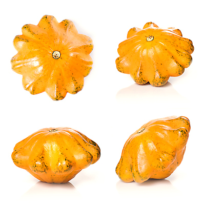 포토 JPG 해외이미지 식물 음식 백그라운드 2 농업 다이어트 채소 오렌지 재료 건강 요리 사람없음 세트 농장 노란색 수확 흰색 신선 4 자르기 오브젝트 싱글 유기농 날것 스쿼시 내추럴 고립 주키니 채식주의자 해외202004 해외포토 웰빙 산업 스포츠 컬러 과일 모션 숫자 구기 채식 파일형식 이미지허브