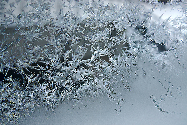 포토 JPG 해외이미지 백그라운드 겨울 패턴 유리 추상 사람없음 얼음 추위 그림 해외202004 해외포토 자연요소 계절 무늬 재질 파일형식 이미지허브