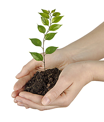 포토 JPG 해외이미지 나무 식물 손 지구 백그라운드 컨셉 잎 자연 선물 사람 사람없음 초록색 새싹 환경 흙 성장 흰색 보호 생물학 개발 고립 모종 묘목 생태학 심기 해외202004 해외포토 교육 컬러 모션 신체부위 생태계 파일형식 이미지허브