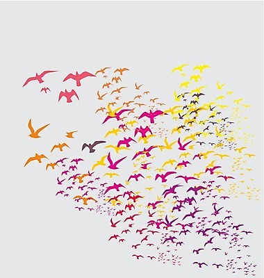 EPS 해외이미지 모양 동물 계절 실루엣 야생동물 날개 일러스트 가족 자연 갈매기 조류 하늘 휴가 휴식 종류 그림자 야외 여름 세트 자유 그리기 그룹 공작 숲 왜가리 문신 심볼 깃털 비둘기 앵무새 윤곽 독수리 철사 까마귀 해외202004 해외일러스트 컨셉 관계 모션 촬영기법 생태계 파일형식 벡터 이미지허브