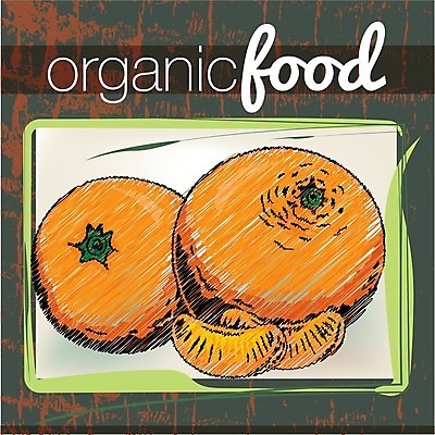 EPS 해외이미지 오렌지 일러스트 귤 사람없음 주황색 해외202004 해외일러스트 컬러 과일 파일형식 벡터 이미지허브