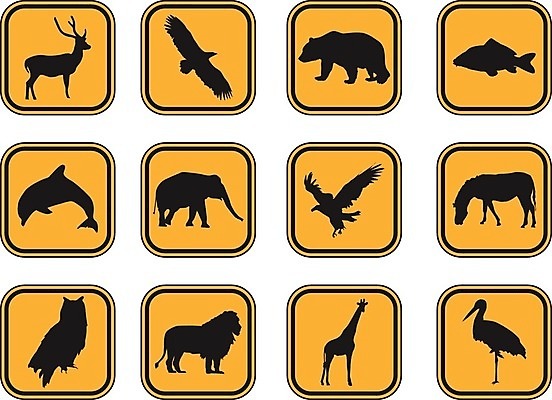 EPS 해외이미지 클립아트 동물 디자인 실루엣 야생동물 백그라운드 오렌지 일러스트 곰 포유류 자연 조류 사슴 코끼리 프레임 털 동물원 미술 그래픽 반려동물 세트 컬러풀 농장 사자 만화 수집 기린 오브젝트 돌고래 그림 독수리 부엉이 잉어 내추럴 엘리먼트 황새 해외202004 해외일러스트 컬러 농업 과일 문화예술 촬영기법 어류 수중동물 생태계 파일형식 벡터 이미지허브