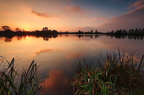 포토 JPG 해외이미지 호수 오렌지 자연 표면 풍경 사람없음 야외 물 여름 강 햇빛 태양 반사 노란색 일출 침묵 고요 일몰 시골 연못 황금 네덜란드 해외202004 해외포토 자연요소 계절 유럽 컬러 과일 노을 소리 생태계 파일형식 이미지허브