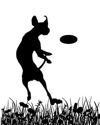 EPS 해외이미지 식물 꽃 실루엣 백그라운드 일러스트 놀이 주택 잔디 그래픽 초록색 반려동물 검은색 흰색 황무지 개 땅 허브 심볼 사인 사냥 사냥개 고립 동반자 해외202004 해외일러스트 동물 컬러 포유류 촬영기법 건물 파일형식 벡터 이미지허브