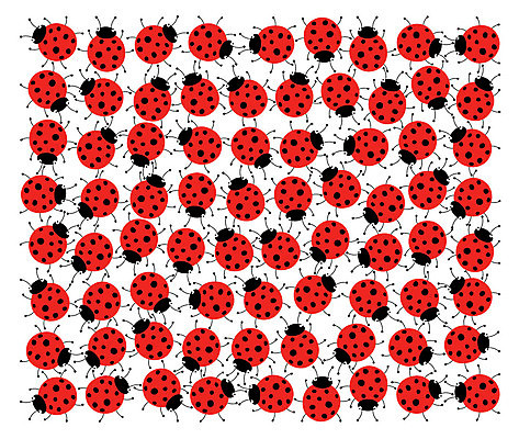 EPS 해외이미지 모양 나무 식물 동물 디자인 배너 계절 꽃 종이 지구 야생동물 선 곤충 백그라운드 낙엽 잎 패턴 일러스트 통신 자연 표면 안테나 미술 미소 경사 장식 빨간색 초록색 여름 빛 환경 정원 검은색 봄 거품 기쁨 성장 덮개 흰색 신선 점 벌레 보호 정상 숲 편지 그림 유기농 생태계 질감 서식 클립 무당벌레 직사각형 정맥 기어가기 사생활 생태학 엘리먼트 편지쓰기 해외202004 해외일러스트 도형 웰빙 교육 감정 컬러 컨셉 무늬 모션 문화예술 표정 뚜껑 기록 혈관 파일형식 벡터 이미지허브