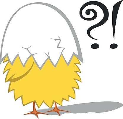 EPS 해외이미지 클립아트 동물 행복 날개 일러스트 조류 부활절 병아리 그림자 장식 노란색 계란 치킨 분노 물음표 축하 아기 신용카드 달콤 느낌표 시원함 만화 깃털 호기심 그림 부리 초대 부화 내추럴 해외202004 해외일러스트 기호 기념일 감정 컬러 컨셉 사람 금융 알 맛 닭고기요리 파일형식 벡터 이미지허브