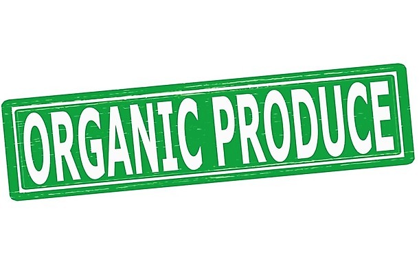 EPS 해외이미지 컨셉 일러스트 잉크 초록색 제조 결과 상품 심볼 사인 유기농 고무 직사각형 우표 그런지 원자재 해외202004 해외일러스트 도형 웰빙 컬러 파일형식 벡터 이미지허브