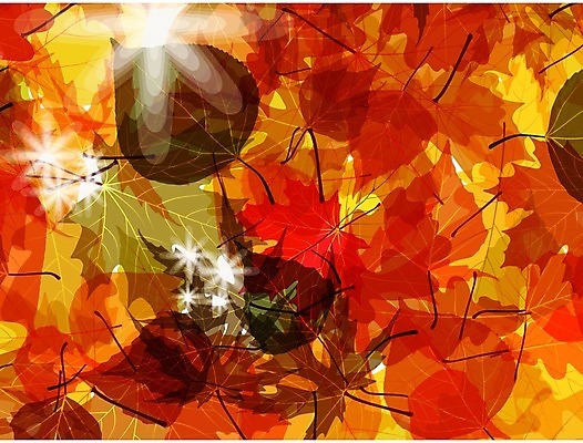 EPS 해외이미지 식물 계절 잎 오렌지 일러스트 하늘 추상 따뜻함 장식 빨간색 빛 컬러풀 햇빛 태양 노란색 우주 환경 에너지 덮개 광선 가을 흰색 신선 투명 황금 우아함 떨어짐 숲 즐거움 유기농 질감 엘리먼트 해외202004 해외일러스트 자연요소 웰빙 감정 컬러 컨셉 무늬 과일 뚜껑 파일형식 벡터 이미지허브