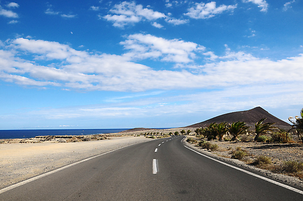 포토 JPG 해외이미지 나무 도로 여행 백그라운드 교통시설 자동차 자연 하늘 풍경 사람없음 여름 파란색 미국 일몰 운전 사막 오픈 고속도로 아스팔트 먼지 애리조나 전국 수평선 해외202004 해외포토 식물 계절 길 육상교통 컬러 교통 북아메리카 모션 노을 시설 생태계 파일형식 이미지허브
