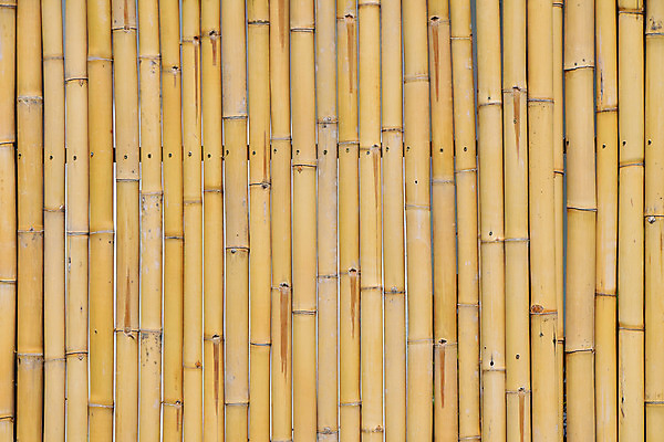 포토 JPG 해외이미지 백그라운드 동양인 사람없음 세로 울타리 노란색 얼룩 대나무 질감 내추럴 옛날 해외202004 해외포토 나무 컬러 인종 담장 파일형식 이미지허브