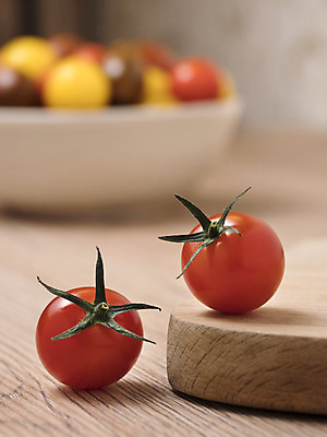 포토 JPG 해외이미지 음식 백그라운드 농업 다이어트 토마토 채소 오렌지 과일 재료 자연 건강 종류 사람없음 빨간색 초록색 여름 컬러풀 노란색 식사 흰색 신선 체리 사발 시장 작음 유기농 날것 내추럴 숙성 채식주의자 많음 해외202004 해외포토 웰빙 계절 산업 컬러 컨셉 사기그릇 크기 생태계 채식 파일형식 이미지허브