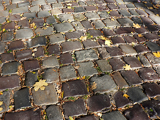 포토 JPG 해외이미지 모양 디자인 도로 길 잎 패턴 포장 건축양식 표면 추상 벽돌 거리 바닥 사람없음 야외 노란색 산책 블록 회색 가을 조약돌 바위 도시 거친 보행로 오솔길 타일 큐브 묘사 질감 정사각형 땅바닥 화강암 해외202004 해외포토 도형 식물 계절 건축 컬러 무늬 교통시설 휴식 암석 돌_바위 파일형식 이미지허브