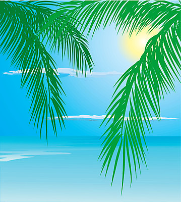 EPS 해외이미지 나무 디자인 실루엣 파도 바다 여행 백그라운드 잎 꽃무늬 패턴 일러스트 자연 하늘 추상 손바닥 미술 풍경 초록색 여름 파란색 빛 태양 일몰 광선 그림 하와이 브런치 장면 남쪽 해외202004 해외일러스트 자연요소 식물 손 계절 꽃 컬러 무늬 문화예술 촬영기법 노을 식사 미국 방향 생태계 파일형식 벡터 이미지허브