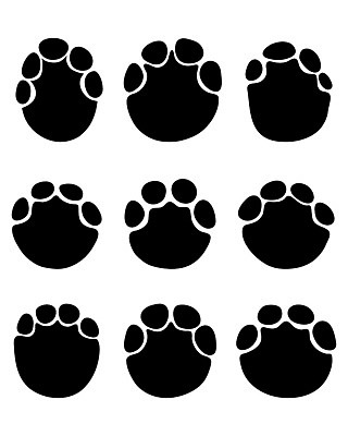 EPS 해외이미지 모양 동물 실루엣 야생동물 일러스트 포유류 자연 코끼리 미술 그래픽 반려동물 검은색 흰색 인쇄 발자국 심볼 사인 사냥 고립 땅바닥 선로 양발 자취 집게발 해외202004 해외일러스트 컬러 자국 문화예술 바닥 촬영기법 생태계 파일형식 벡터 이미지허브