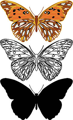 EPS 해외이미지 모양 동물 디자인 꽃 실루엣 길 야생동물 나비 곤충 꽃무늬 패턴 날개 일러스트 자연 프레임 골격 그래픽 장식 페인트 점 원형 벌레 심볼 묘사 사인 싱글 질감 나방 내추럴 고립 엘리먼트 해외202004 해외일러스트 도형 식물 무늬 촬영기법 생태계 파일형식 벡터 이미지허브