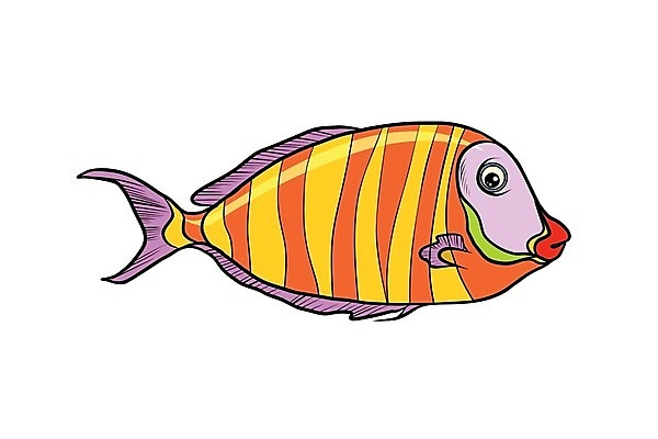 EPS 해외이미지 동물 호수 야생동물 바다 일러스트 아프리카 자연 종류 어류 취미 장식 빨간색 물 파란색 반려동물 컬러풀 세계 노란색 수중 웹 줄무늬 흰색 투명 큼 만화 심볼 흰배경 지느러미 수족관 고립 기르기 민물 이마 해외202004 해외일러스트 자연요소 나라 컬러 백그라운드 무늬 인터넷 수중동물 크기 생태계 돌봄 파일형식 벡터 이미지허브