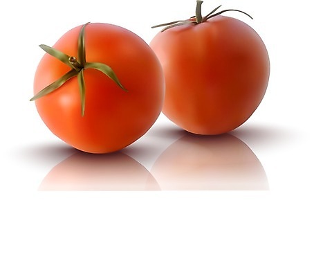 EPS 해외이미지 식물 디자인 음식 백그라운드 잎 농업 다이어트 토마토 채소 과일 일러스트 재료 자연 건강 요리 그래픽 빨간색 초록색 정원 샐러드 흰색 신선 원형 시장 맛 만화 먹기 오브젝트 사인 유기농 내추럴 고립 숙성 채식주의자 해외202004 해외일러스트 도형 웰빙 산업 컬러 컨셉 모션 생태계 채식 파일형식 벡터 이미지허브