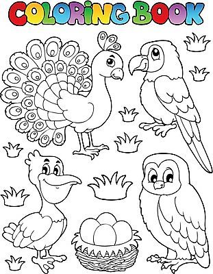 EPS 해외이미지 클립아트 동물 디자인 응시 행복 날개 일러스트 자연 조류 동물원 미술 그래픽 책 계란 페인트 그리기 둥지 공작 만화 펠리컨 깃털 그림 레이아웃 꼬리 부리 앵무새 윤곽 부엉이 동물상 해외202004 해외일러스트 시선 감정 모션 문화예술 조형물 알 생태계 파일형식 벡터 이미지허브