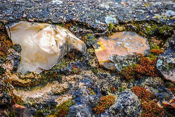 포토 JPG 해외이미지 식물 디자인 벽 백그라운드 잎 패턴 건축양식 자연 벽지 표면 날씨 추상 벽돌 주택 이끼 사람없음 건물 초록색 갈색 노란색 힘 회색 골동품 바위 거친 균열 묘사 질감 내추럴 고체 그런지 썩음 옛날 콘크리트 해외202004 해외포토 건축물 건축 컬러 무늬 모션 돌_바위 생태계 파일형식 이미지허브