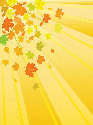 EPS 해외이미지 모양 디자인 계절 꽃 실루엣 백그라운드 단풍 잎 패턴 곡선 오렌지 일러스트 자연 바람 날씨 추상 미술 장식 빨간색 태양 노란색 성장 가을 떨어짐 그림 해외202004 해외일러스트 자연요소 식물 선 컬러 컨셉 무늬 과일 문화예술 촬영기법 생태계 파일형식 벡터 이미지허브