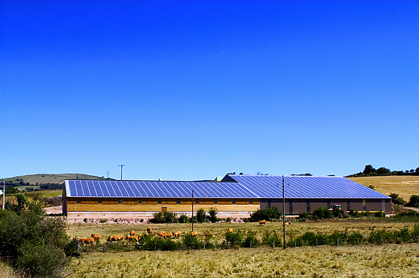 포토 JPG 해외이미지 산업 농업 회사 지붕 사람없음 건물 태양 에너지 시골 뜨거움 소 군중 태양에너지 패널 해외202004 해외포토 자연요소 건축물 비즈니스 포유류 사람 그린에너지 파일형식 이미지허브