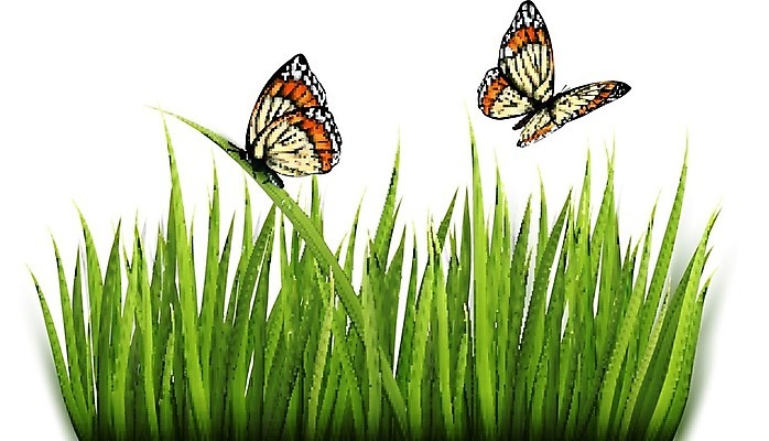 EPS 해외이미지 식물 디자인 계절 공원 꽃잎 꽃 행복 나비 백그라운드 컨셉 잎 꽃무늬 패턴 일러스트 자연 부활절 프레임 미술 야외 초록색 정원 맑음 페인트 봄 새벽 흰색 나뭇가지 신선 신용카드 벌레 4월 땅 원예 내추럴 평야 해외202004 해외일러스트 자연요소 나무 공공시설 기념일 감정 컬러 곤충 무늬 날씨 문화예술 취미 금융 날짜 생태계 파일형식 벡터 이미지허브