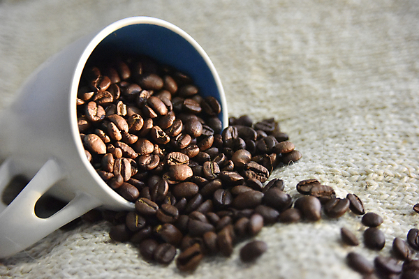 포토 JPG 해외이미지 커피 음료 겨울 아침 디저트 콩 따뜻함 사랑 사람없음 컵 파란색 갈색 맑음 머그컵 가을 흰색 대접 시간 뜨거움 저녁 굽기 니트 질감 그라인더 에스프레소 중독 라떼 카페인 디테일 해외202004 해외포토 주간 식기 계절 감정 음식 컬러 상의 날씨 곡류 야간 구이 커피용품 파일형식 이미지허브