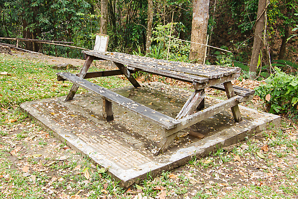 포토 JPG 해외이미지 나무 식물 계절 공원 도로 가구 잎 벤치 의자 자연 휴식 잔디 사람없음 야외 목재 갈색 침묵 가을 시골 좌절 고독 숲 오솔길 버리기 장면 구식 옛날 우울증 특별함 혼자 노화 해외202004 해외포토 공공시설 감정 길 컬러 생활용품 컨셉 재료 교통시설 모션 소리 질병 생태계 파일형식 이미지허브