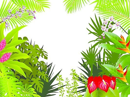 EPS 해외이미지 나무 식물 계절 꽃 야생동물 백그라운드 잎 일러스트 자연 아침 프레임 손바닥 풍경 야외 목재 초록색 여름 태양 환경 봄 숲 신비 열대우림 천국 내추럴 아마존 해외202004 해외일러스트 주간 자연요소 동물 손 컬러 컨셉 재료 생태계 파일형식 벡터 신체부위 사람 이미지허브